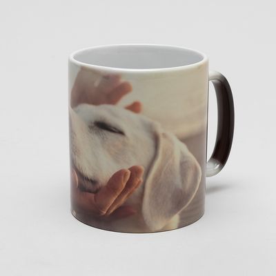 Heat changing mug